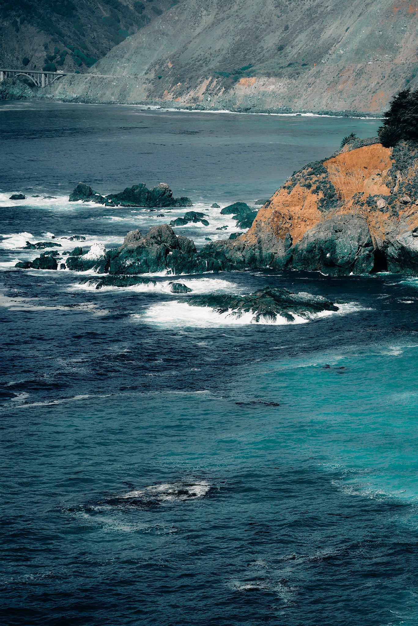 Big Sur by Carmen Molina