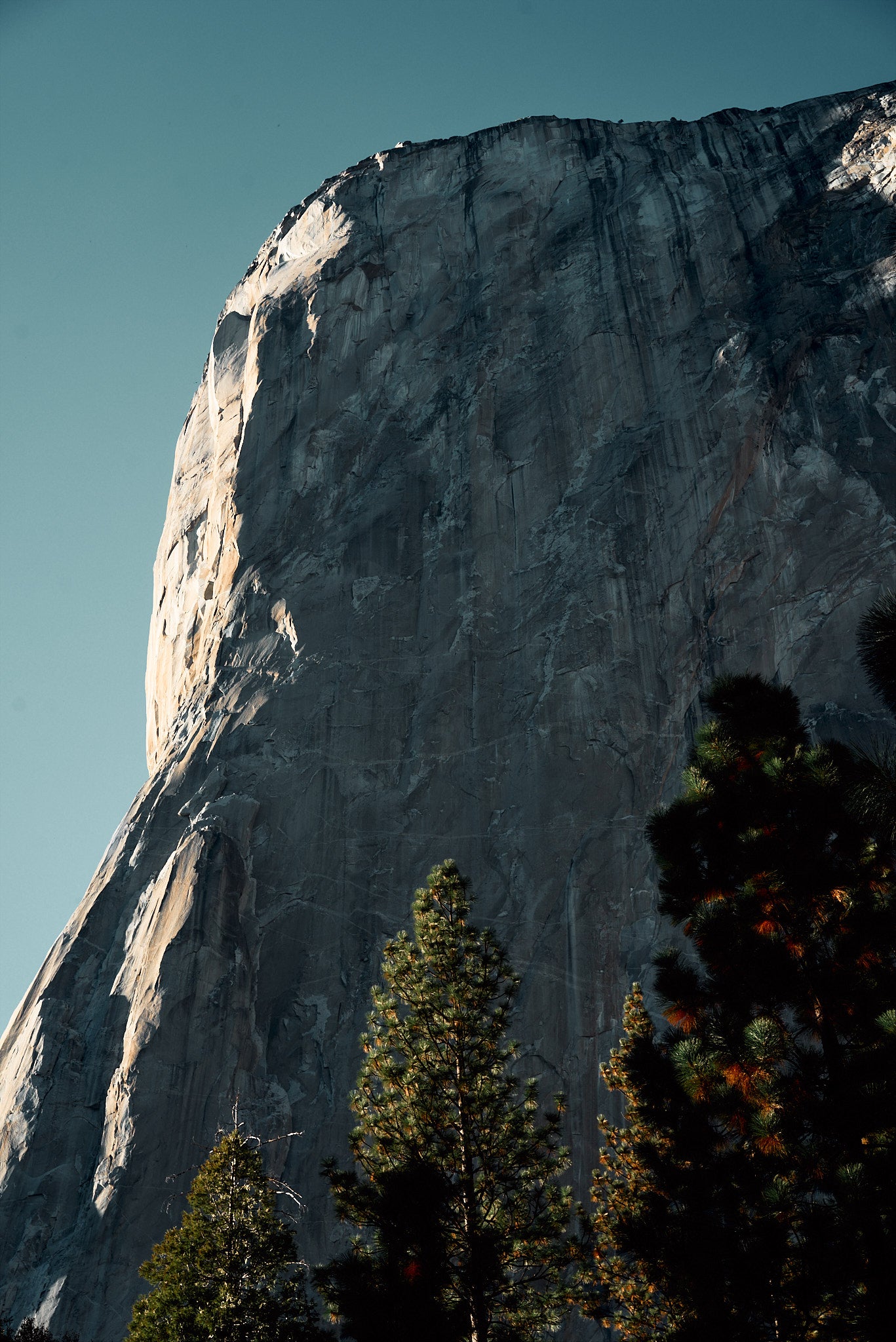 Yosemite by Carmen Molina